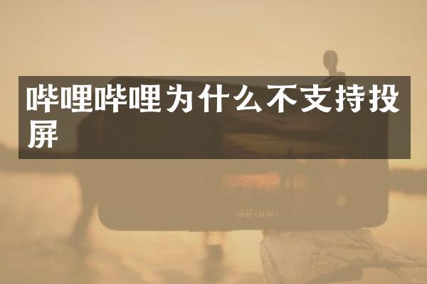 哔哩哔哩为什么不支持投屏