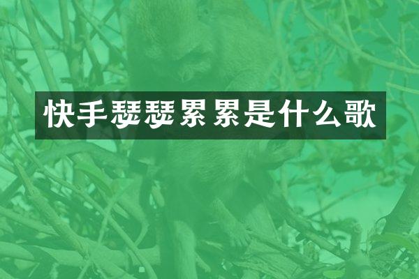 快手瑟瑟累累是什么歌
