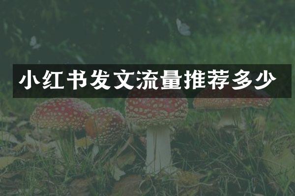 小红书发文流量推荐多少