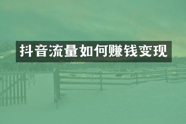 抖音流量如何赚钱变现