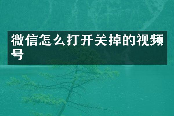 微信怎么打开关掉的视频号