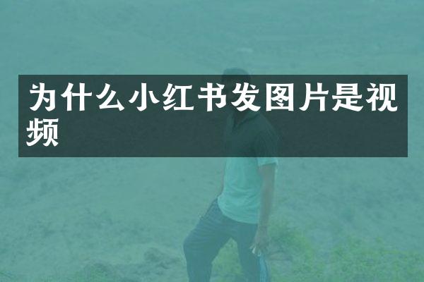 为什么小红书发图片是视频