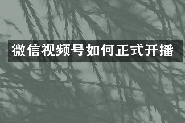 微信视频号如何正式开播