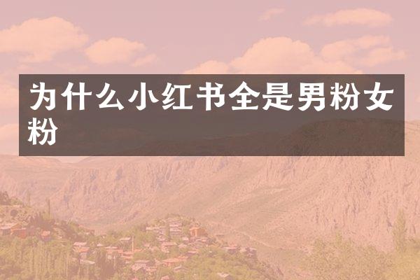 为什么小红书全是男粉女粉