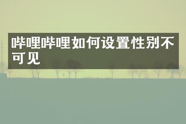 哔哩哔哩如何设置性别不可见