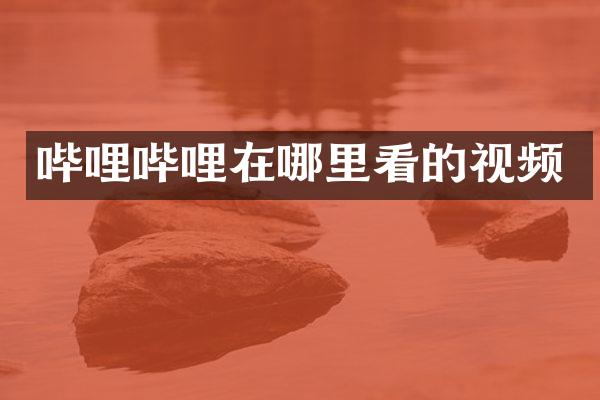 哔哩哔哩在哪里看的视频