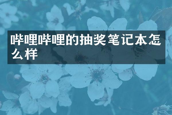 哔哩哔哩的抽奖笔记本怎么样