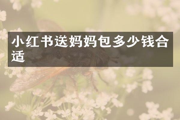 小红书送妈妈包多少钱合适