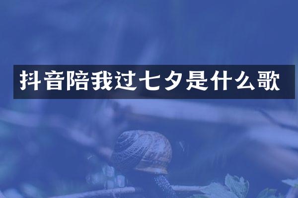 抖音陪我过七夕是什么歌