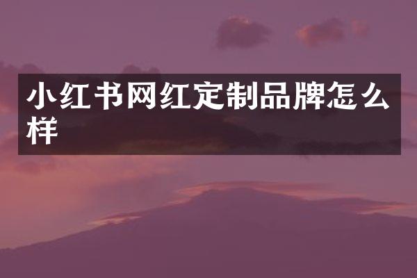 小红书网红定制品牌怎么样