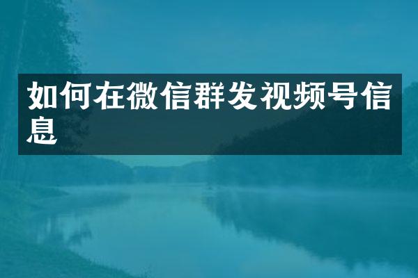 如何在微信群发视频号信息