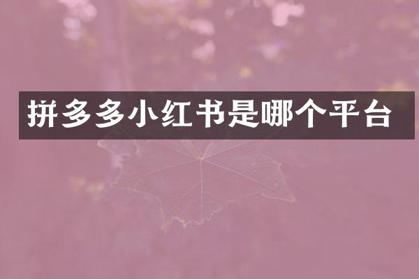 拼多多小红书是哪个平台