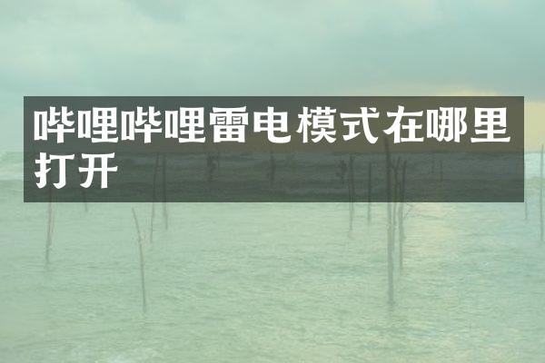 哔哩哔哩雷电模式在哪里打开