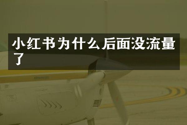 小红书为什么后面没流量了
