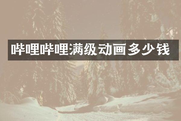 哔哩哔哩满级动画多少钱