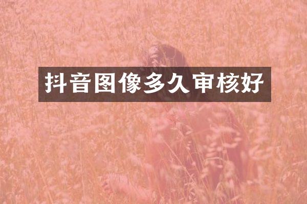 抖音图像多久审核好