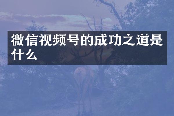 微信视频号的成功之道是什么