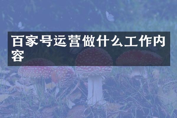 百家号运营做什么工作内容