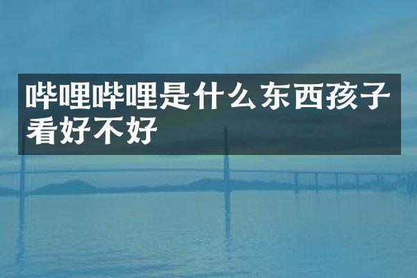 哔哩哔哩是什么东西孩子看好不好