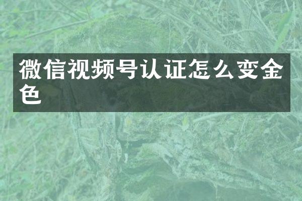 微信视频号认证怎么变金色