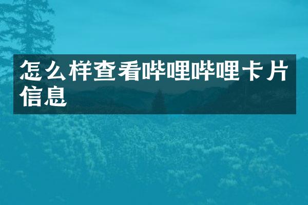 怎么样查看哔哩哔哩卡片信息