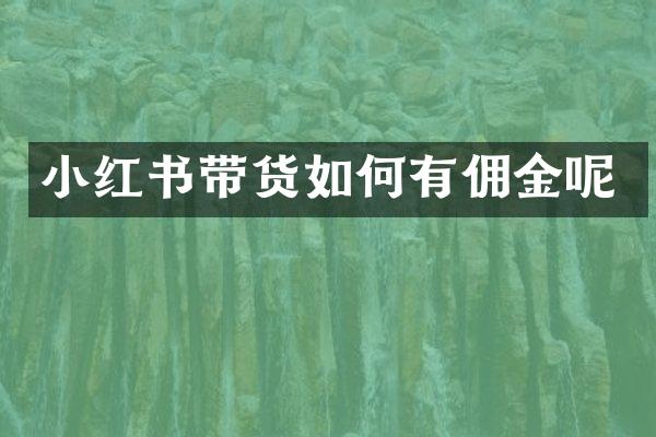 小红书带货如何有佣金呢