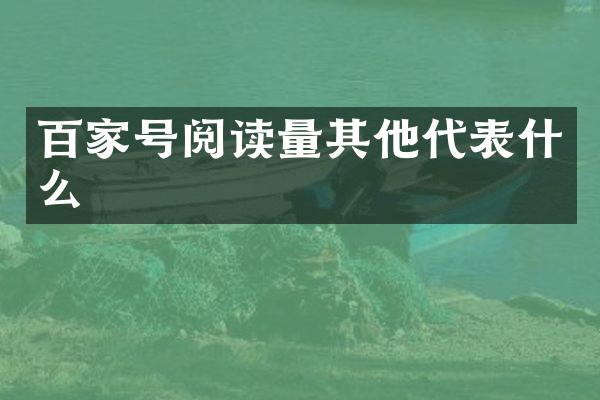 百家号阅读量其他代表什么