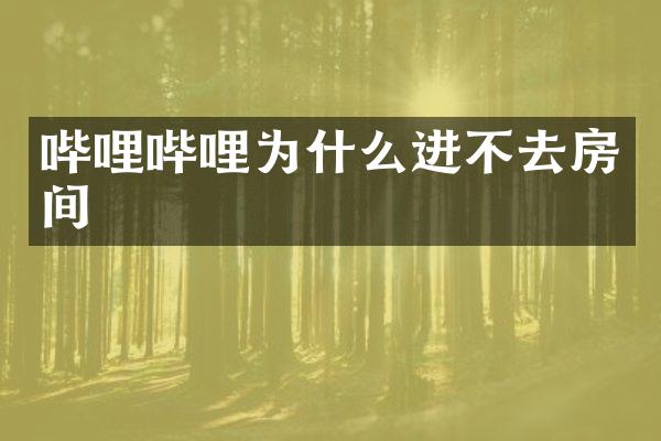 哔哩哔哩为什么进不去房间