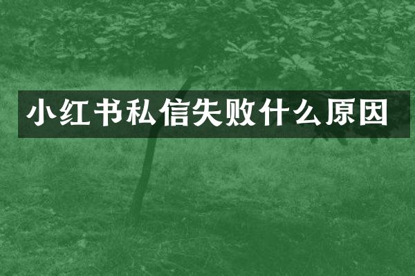小红书私信失败什么原因