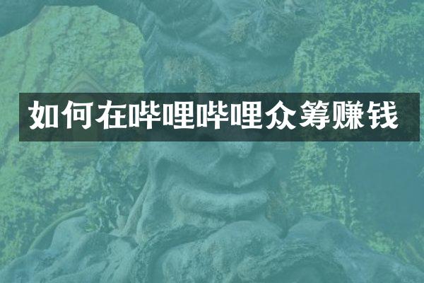 如何在哔哩哔哩众筹赚钱