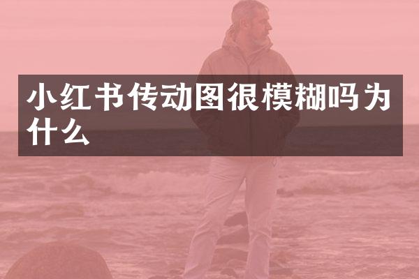 小红书传动图很模糊吗为什么
