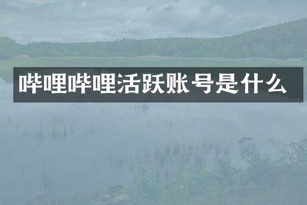 哔哩哔哩活跃账号是什么