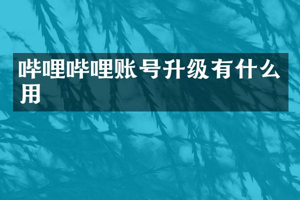 哔哩哔哩账号升级有什么用