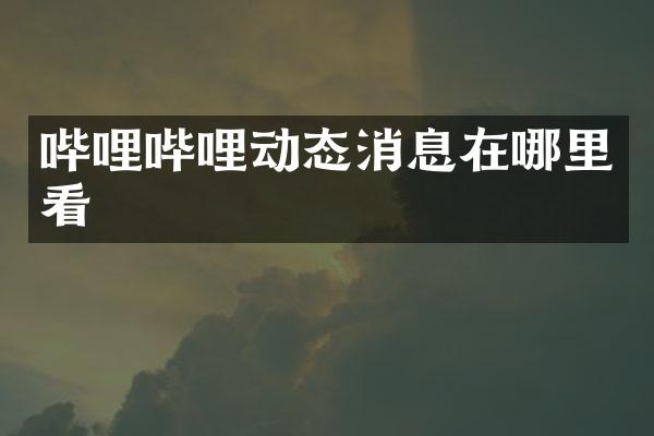 哔哩哔哩动态消息在哪里看