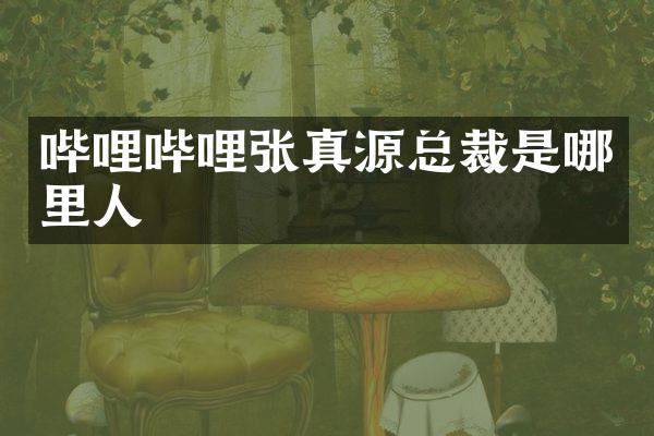 哔哩哔哩张真源总裁是哪里人