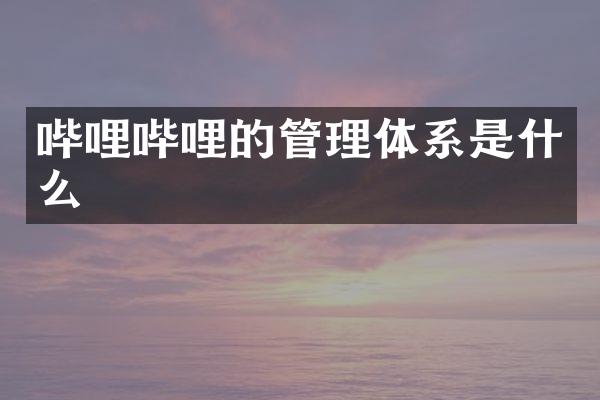 哔哩哔哩的管理体系是什么