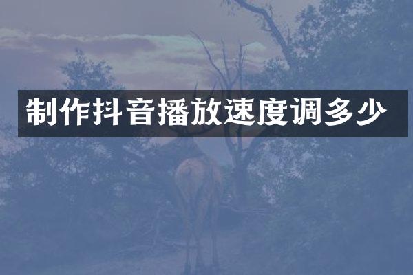 制作抖音播放速度调多少