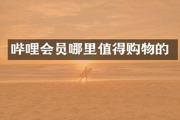 哔哩会员哪里值得购物的