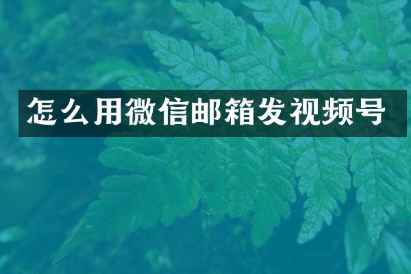 怎么用微信邮箱发视频号