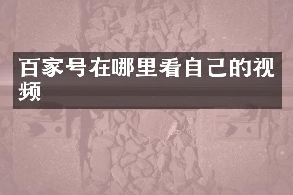 百家号在哪里看自己的视频