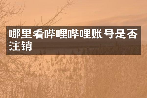 哪里看哔哩哔哩账号是否注销