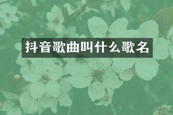 抖音歌曲叫什么歌名