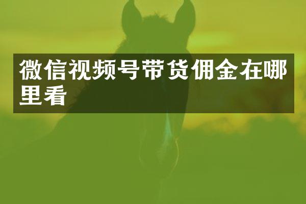 微信视频号带货佣金在哪里看