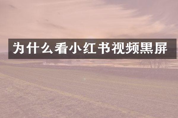 为什么看小红书视频黑屏