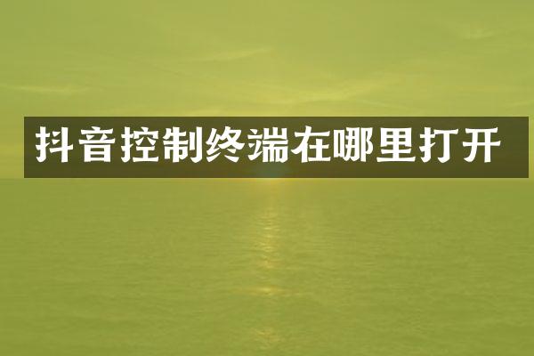 抖音控制终端在哪里打开