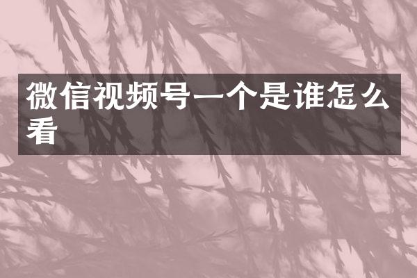 微信视频号一个是谁怎么看