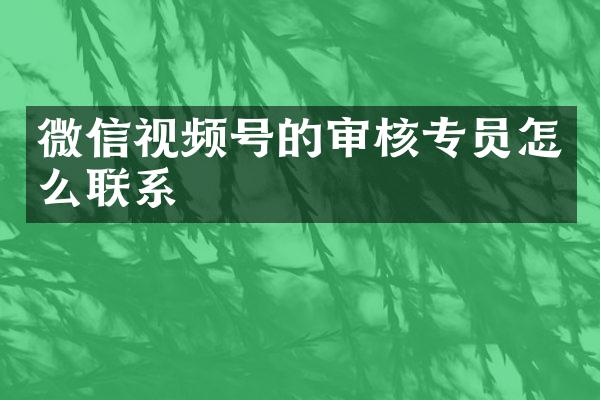 微信视频号的审核专员怎么联系