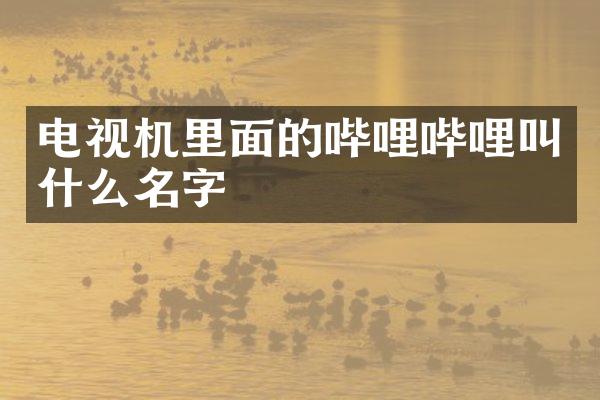 电视机里面的哔哩哔哩叫什么名字