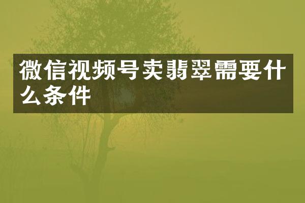 微信视频号卖翡翠需要什么条件