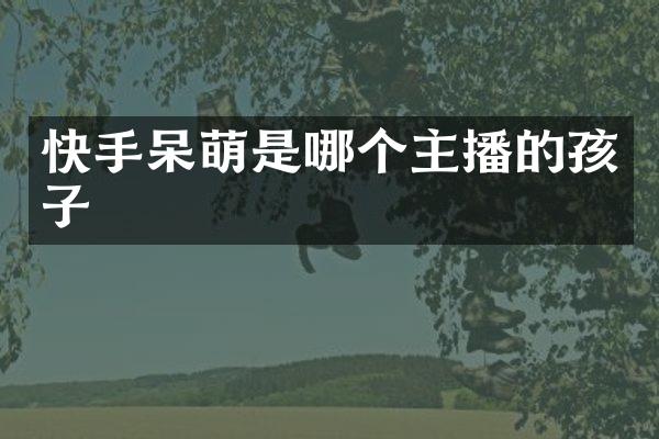 快手呆萌是哪个主播的孩子
